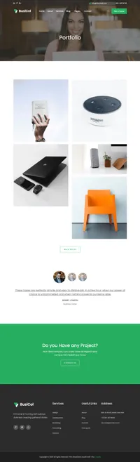 busicol mini website template desktop screenshot