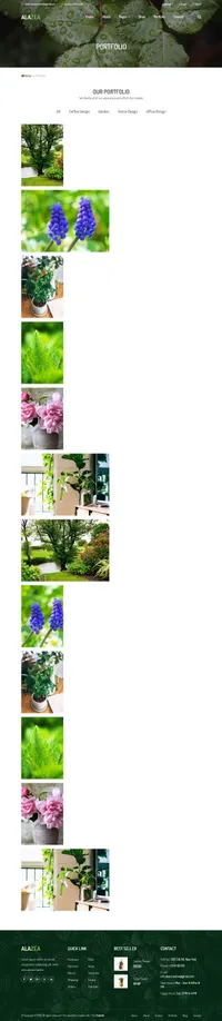 alazea mini website template desktop screenshot