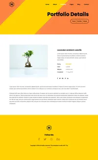 steve mini website template desktop screenshot