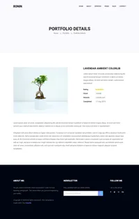 ronin mini website template desktop screenshot