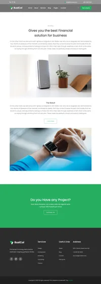 busicol mini website template desktop screenshot