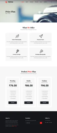 pentax mini website template desktop screenshot