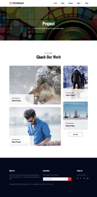 proshoot mini website template desktop screenshot