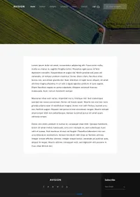 avision mini website template desktop screenshot