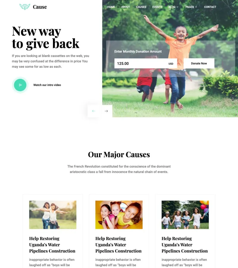 cause website template desktop screenshot