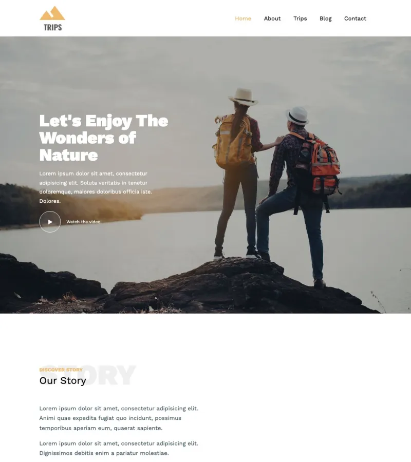 trips website template desktop screenshot