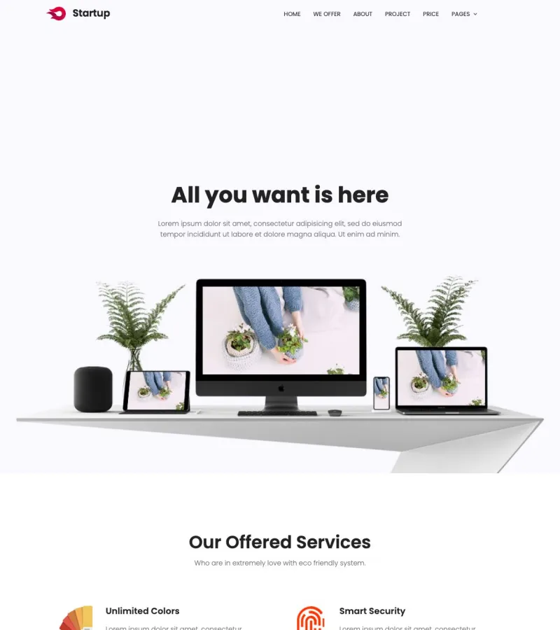 Startup Web Developer template