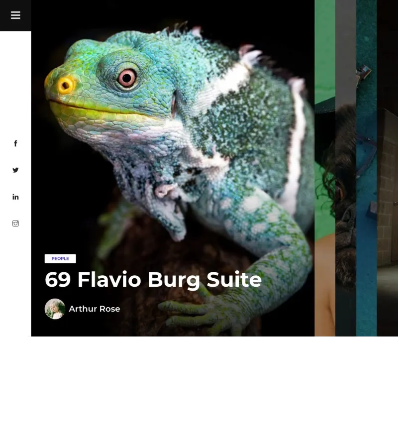 tulen website template desktop screenshot