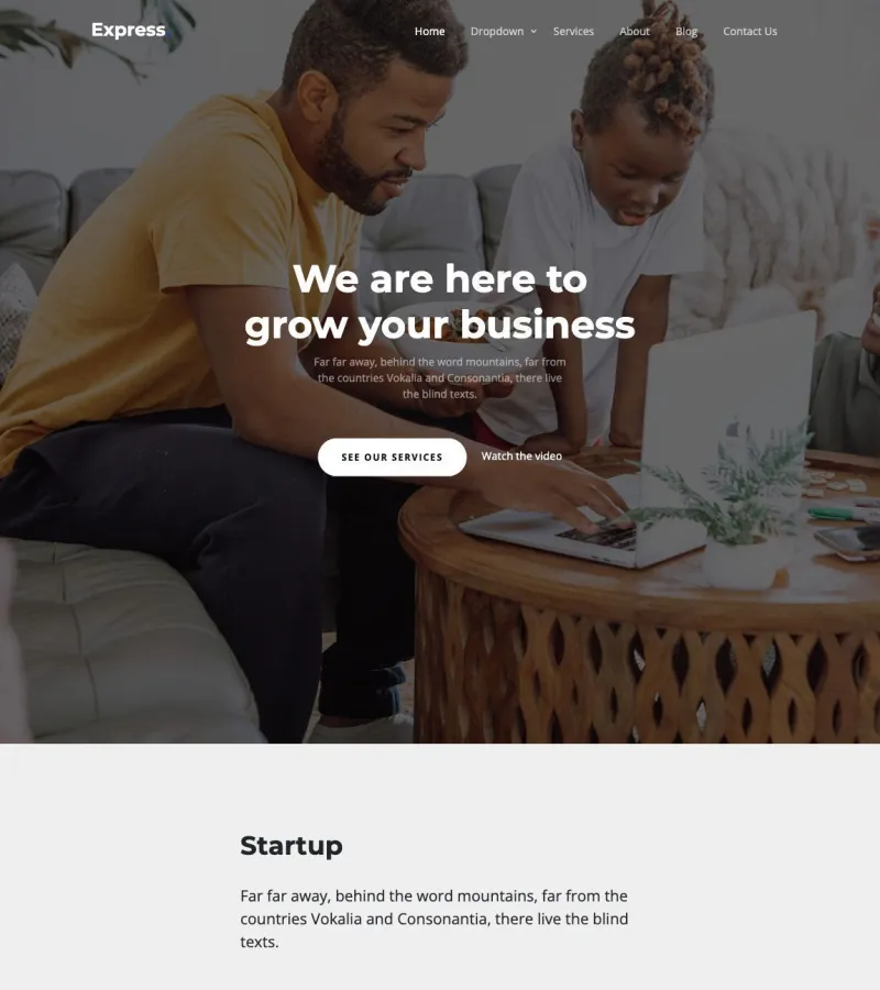 express website template screenshot