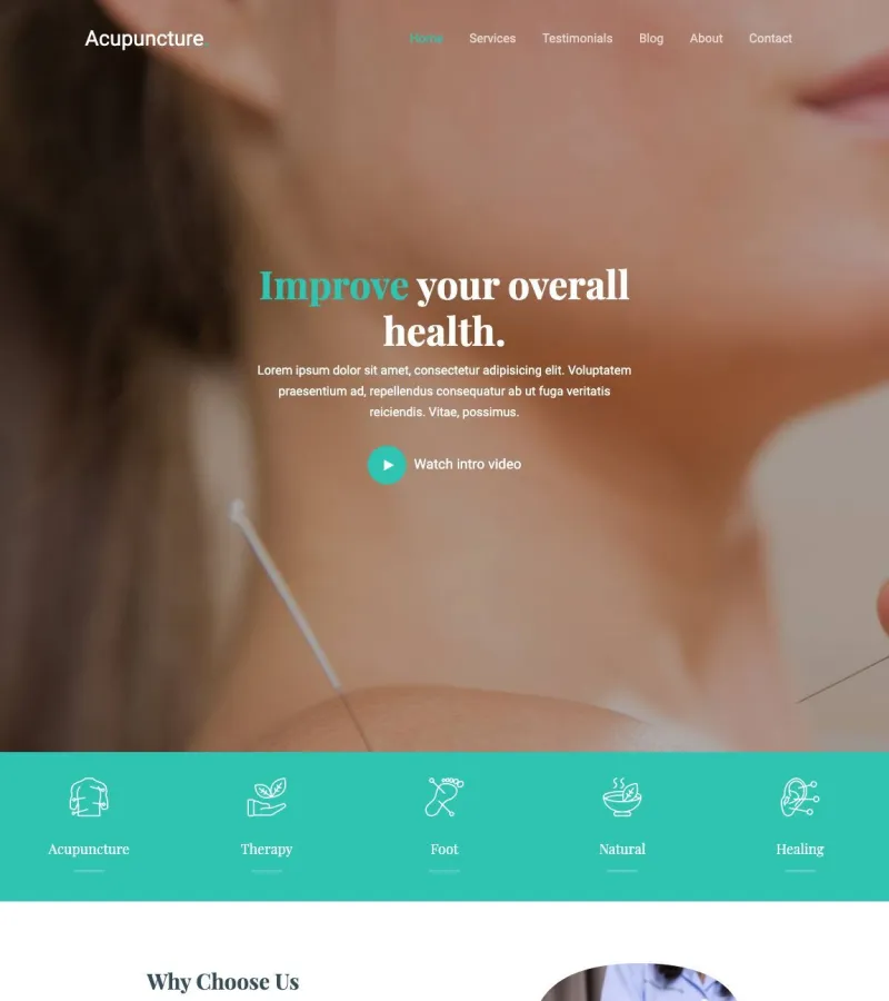 acupuncture website template screenshot