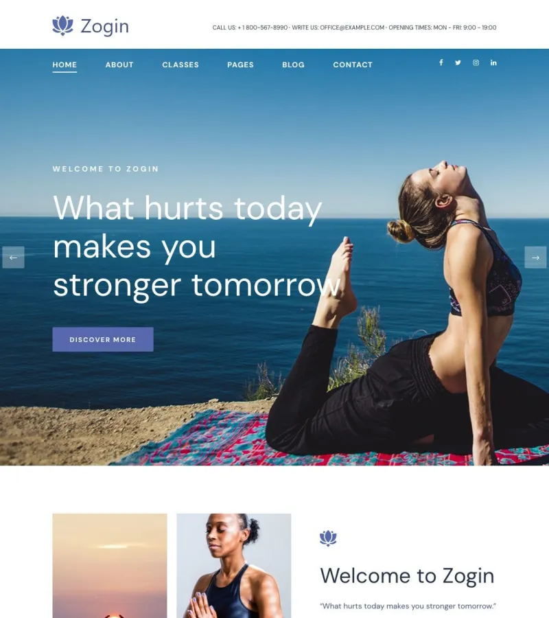 zogin website template desktop screenshot