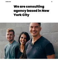 consulting mini website template desktop screenshot