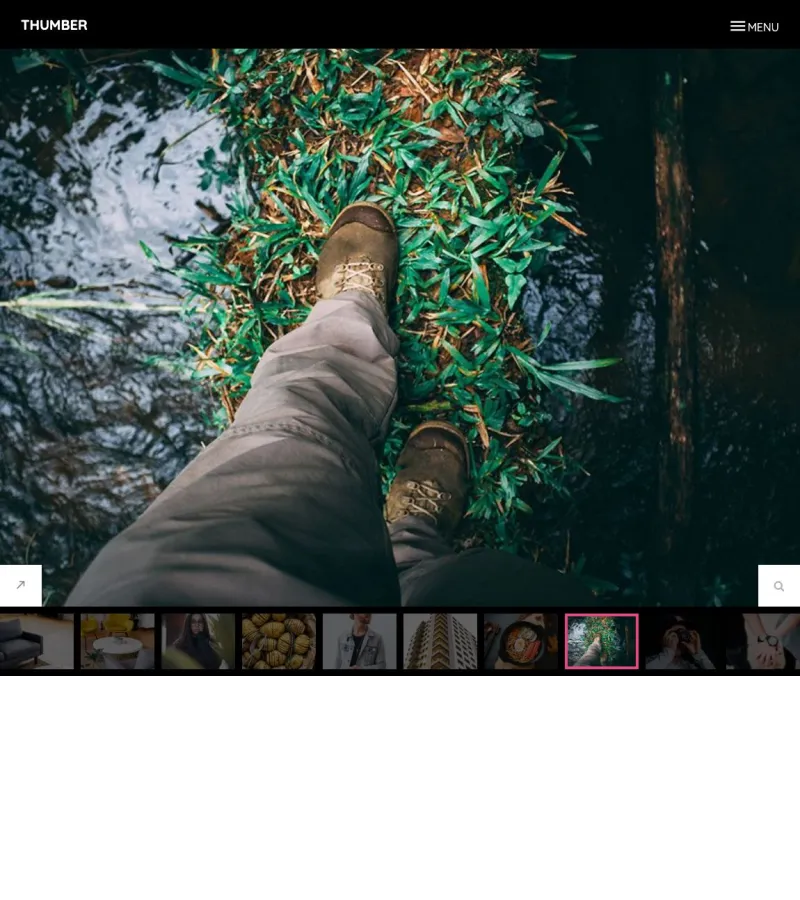 Thumber Landing Page template