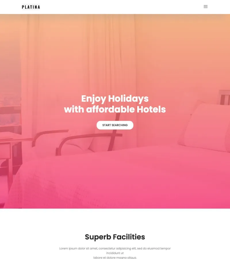 platina website template screenshot