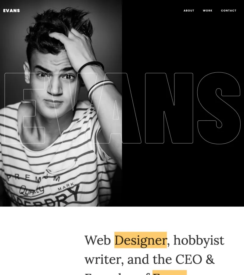 evans website template desktop screenshot