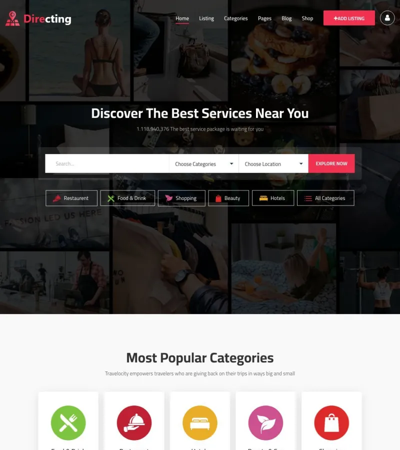 Directing website template desktop screenshot