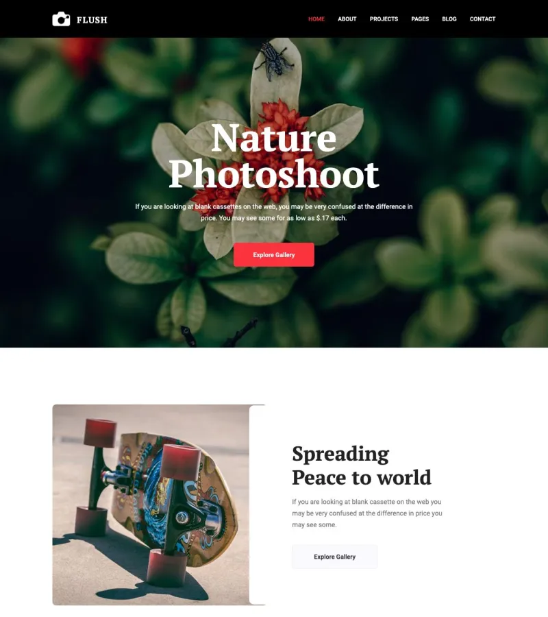 Flush Photographer template