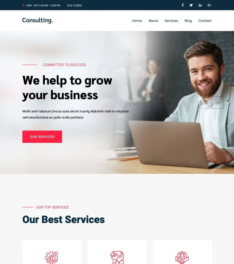consultingbiz website template screenshot
