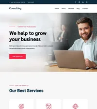 consultingbiz mini website template desktop screenshot