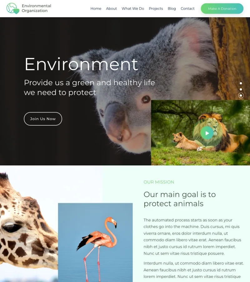 environmentalorganization website template desktop screenshot