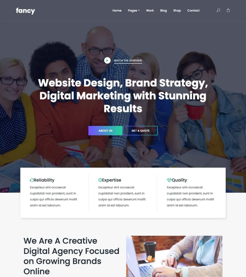 fancy website template desktop screenshot