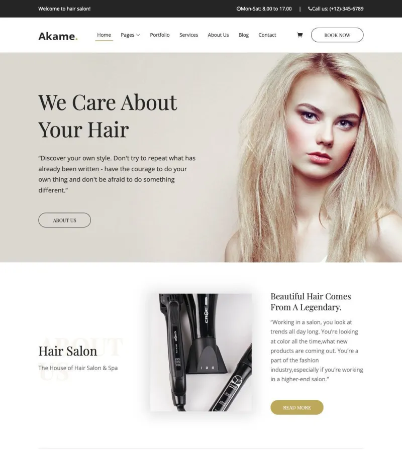 akame website template screenshot