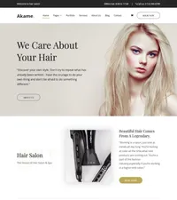 akame mini website template desktop screenshot
