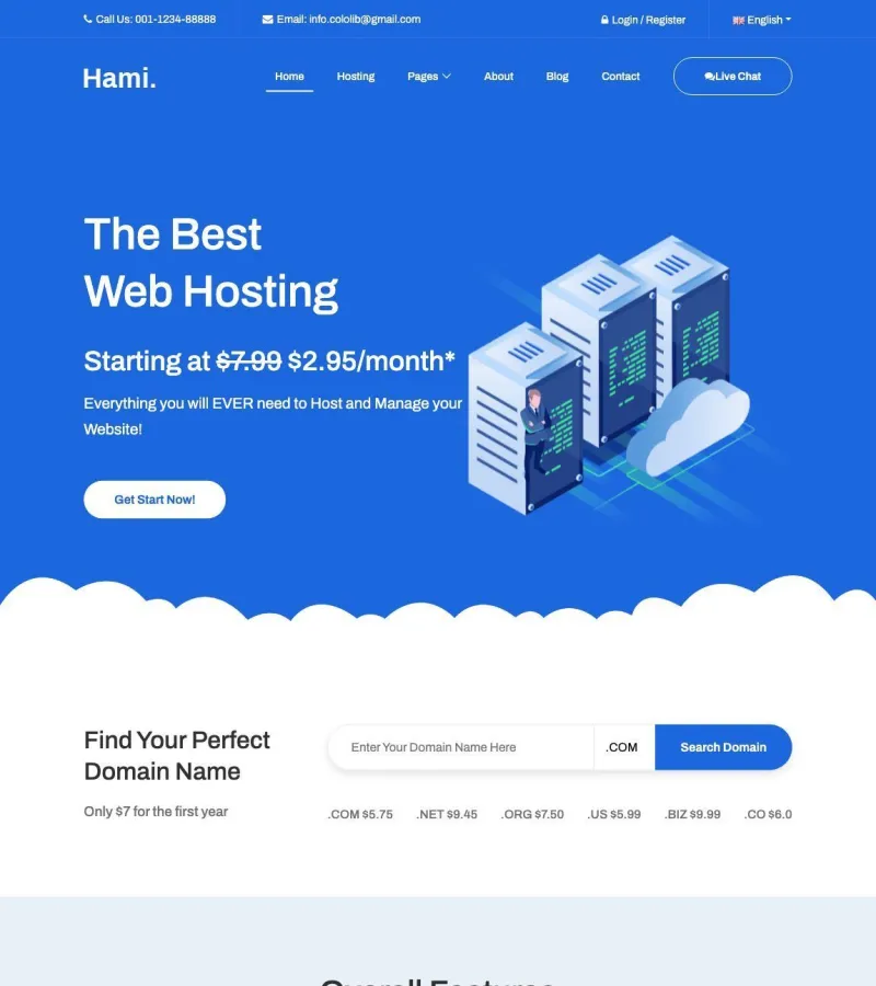 hami website template desktop screenshot
