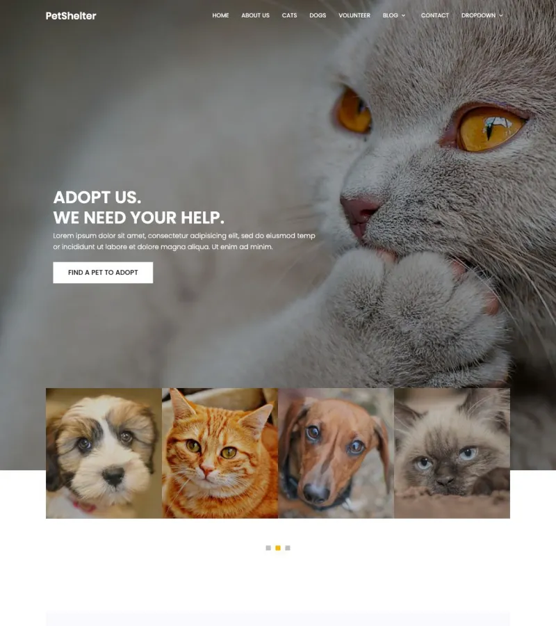 animal-shelter website template screenshot