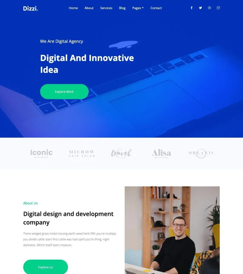 dizzi website template desktop screenshot