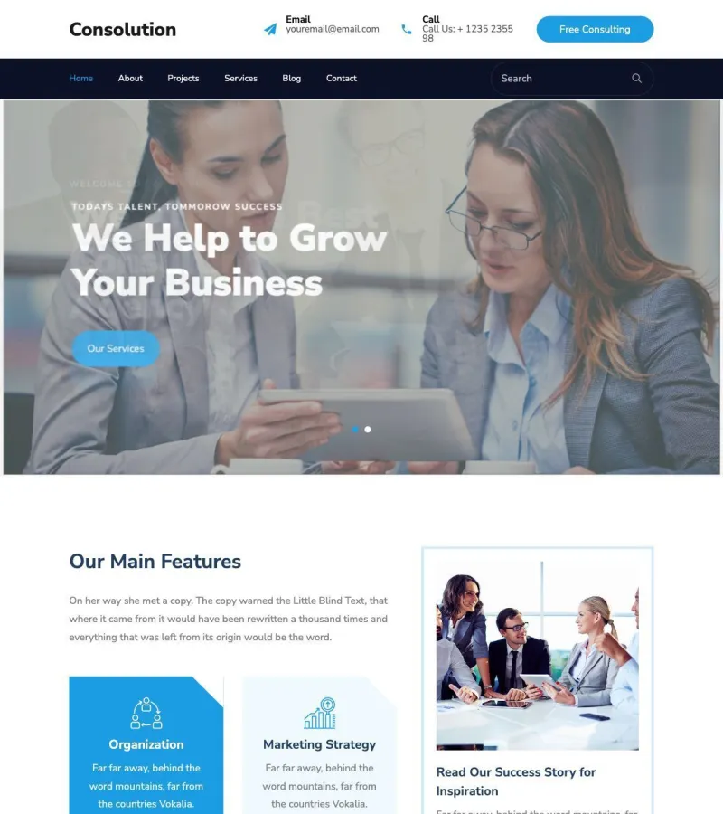 consulotion website template screenshot