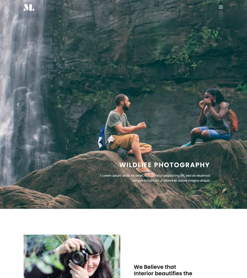 photography website template desktop screenshot