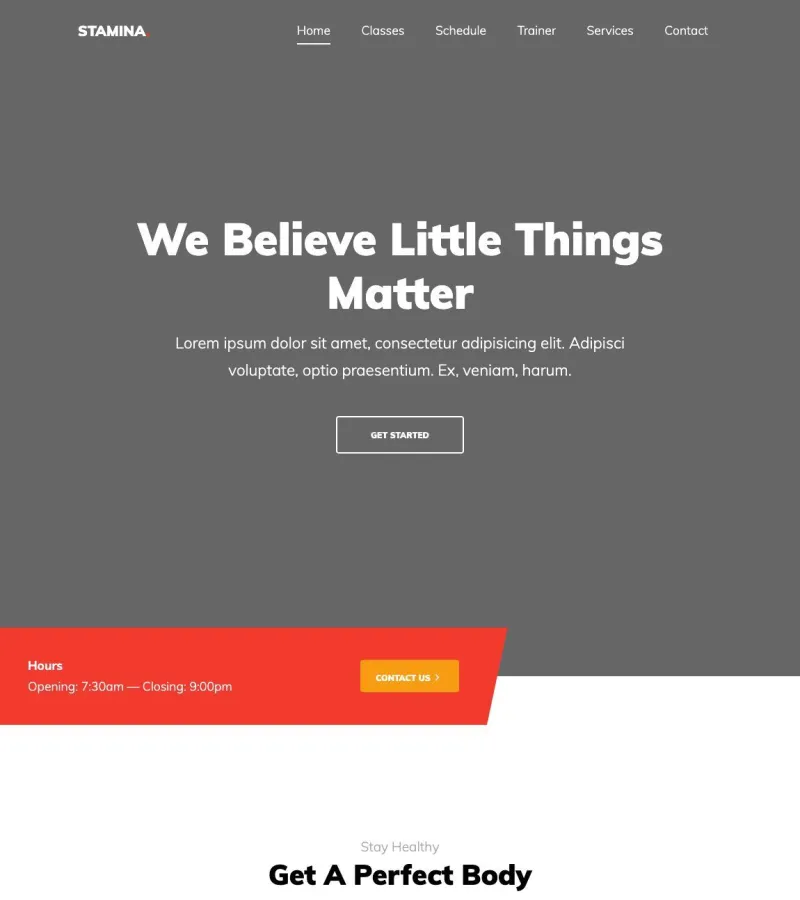 stamina website template screenshot