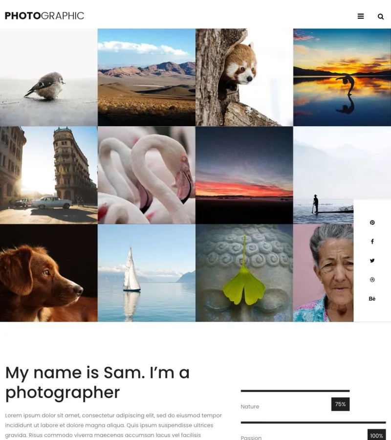 Photographic website template desktop screenshot