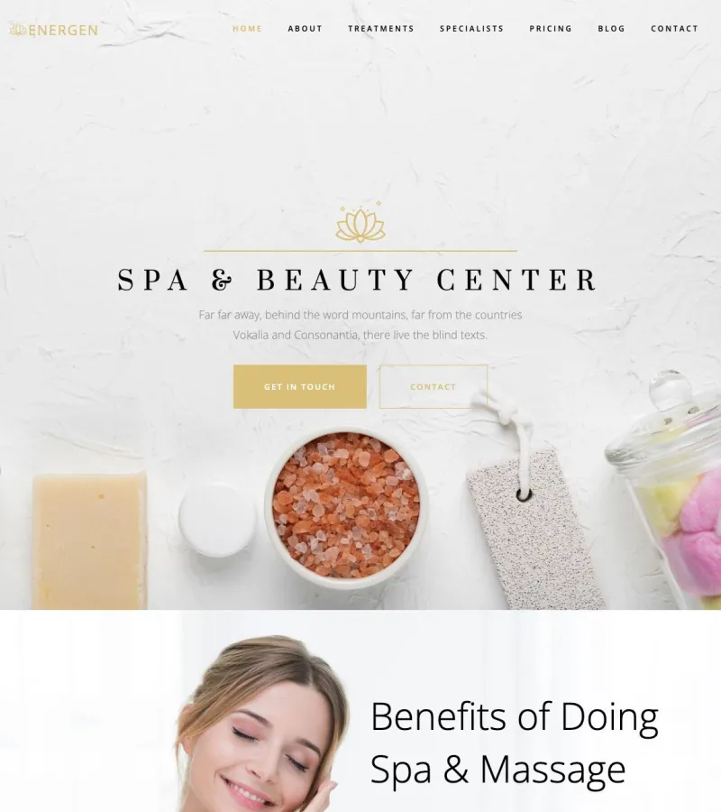 energen website template screenshot