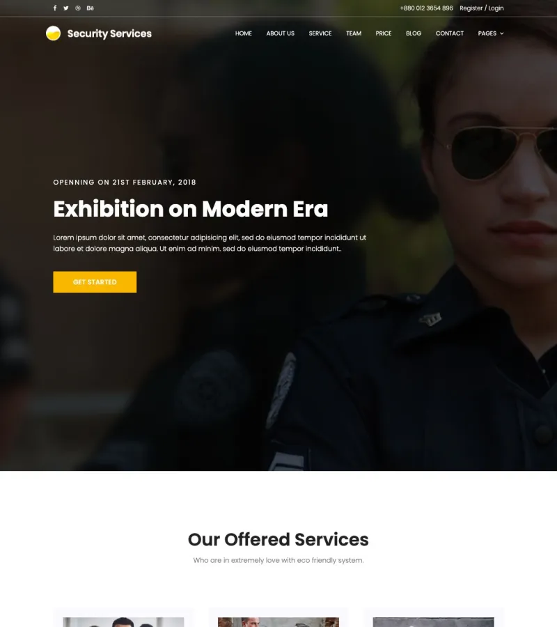 Security Services IT Consultant template