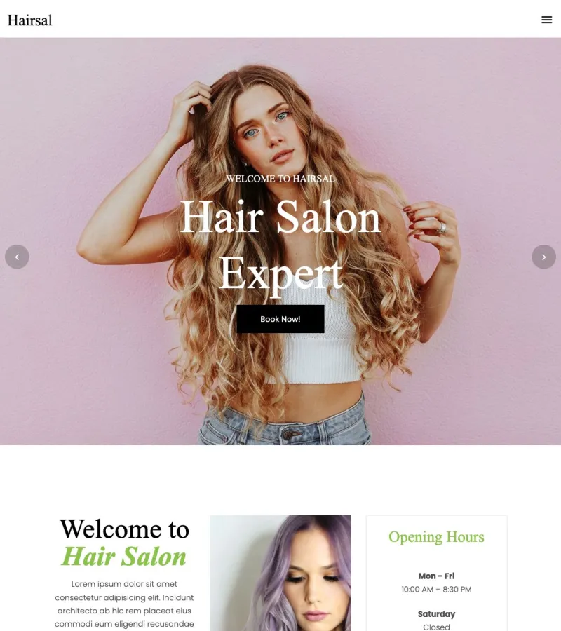 hairsal website template desktop screenshot