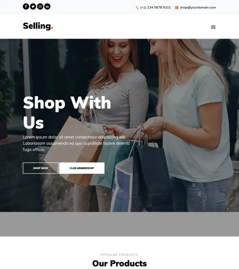 selling website template desktop screenshot