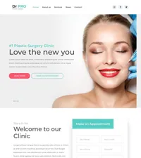 drpro mini website template desktop screenshot