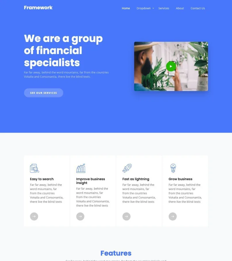 framework website template desktop screenshot