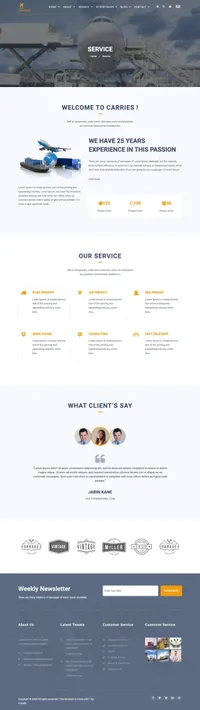 carries mini website template desktop screenshot