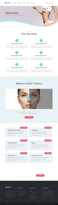 drpro mini website template desktop screenshot