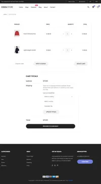 coza-store mini website template desktop screenshot