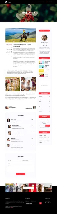 flash mini website template desktop screenshot