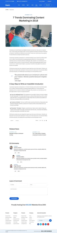 hami mini website template desktop screenshot