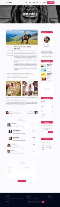 kare mini website template desktop screenshot