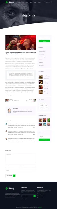 bcharity mini website template desktop screenshot