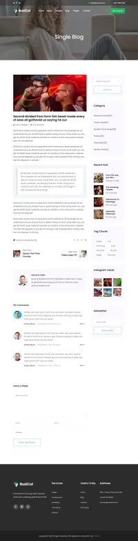 busicol mini website template desktop screenshot