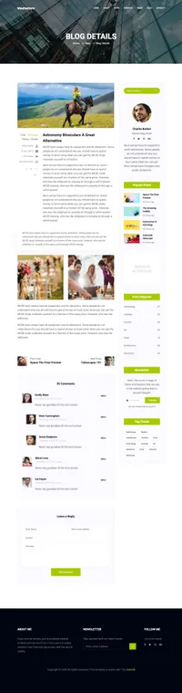 maxitechture mini website template desktop screenshot