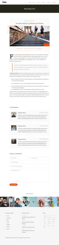 article mini website template desktop screenshot